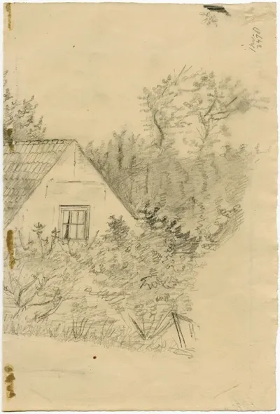 Cottage In The Woods