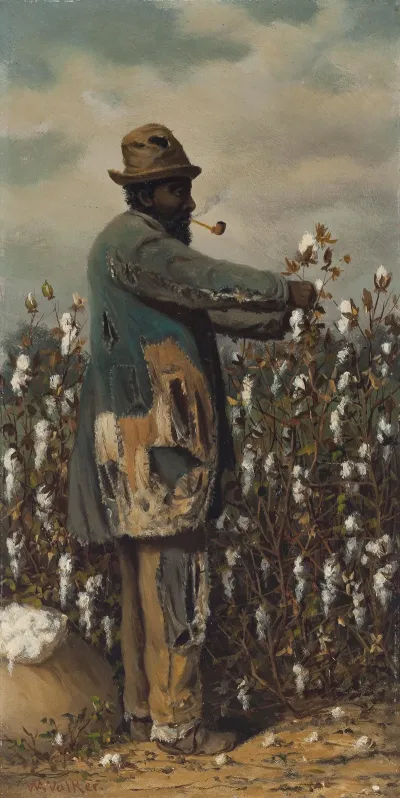 Cotton Picker Man
