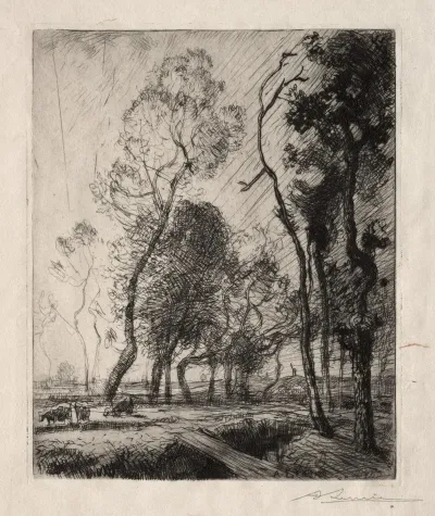 Coucher De Soleil Derriere Les Arbres
