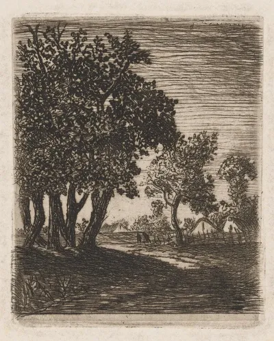 Country Road 6