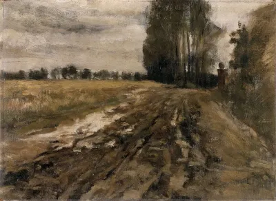 Country Road After The Rain