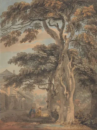 Couple In A Farmyard