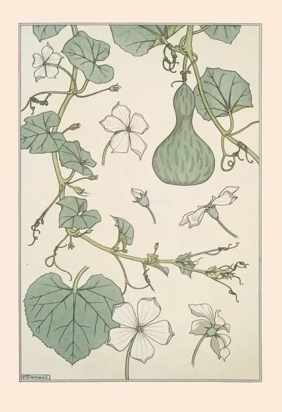 Courge