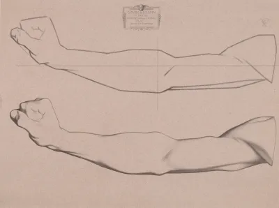 Cours De Dessin Pl 18