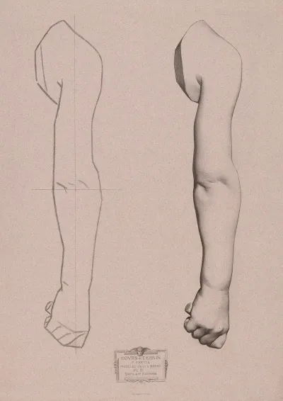Cours De Dessin Pl 22