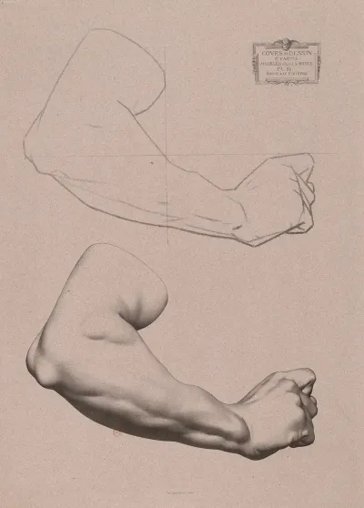 Cours De Dessin Pl 24