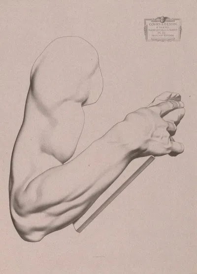 Cours De Dessin Pl 25