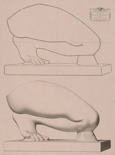 Cours De Dessin Pl 28