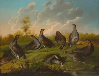 Covey Of Partridges In A Landscape