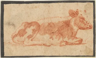 Cow 8