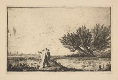 Cow Grazing By Pond