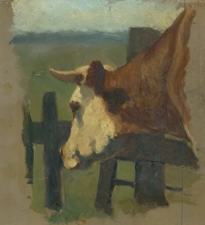 Cow Head And Neck In A Pasture