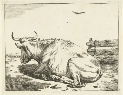 Cow Lying By Fence