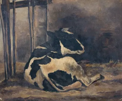 Cow Lying Down In A Cowshed
