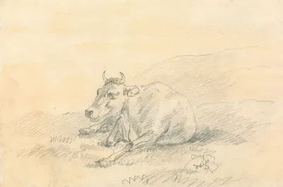 Cow Lying Down