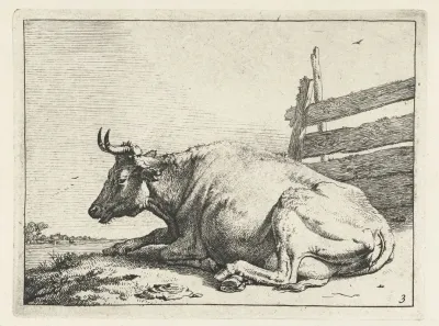 Cow Lying Near A Fence