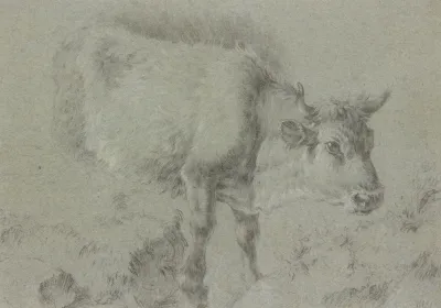 Cow To The Left