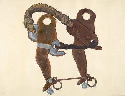 Cowboys Hackamore Bit