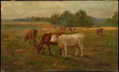 Cows 3