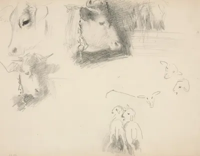 Cows And Sheep