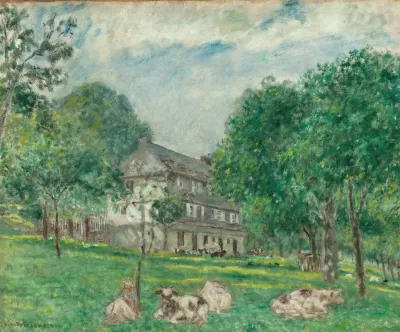 Cows At Noon