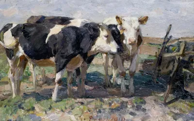 Cows In A Field