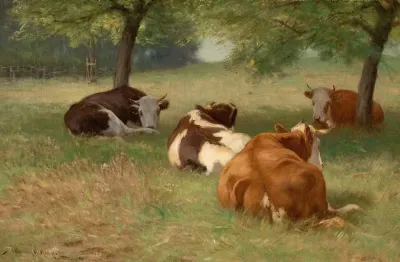 Cows In A Grassy Field
