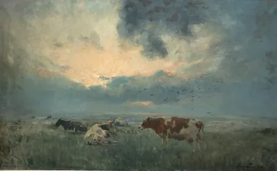 Cows In A Meadow 7