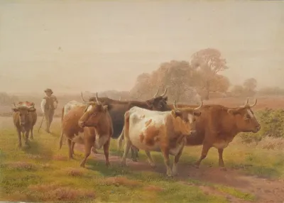 Cows In Landscape 2