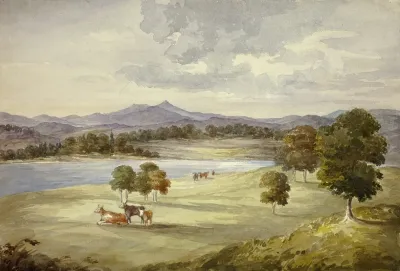Cows In Landscape