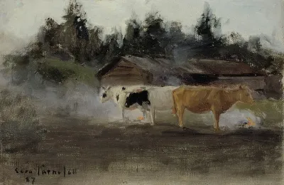 Cows In Turf Smoke Study