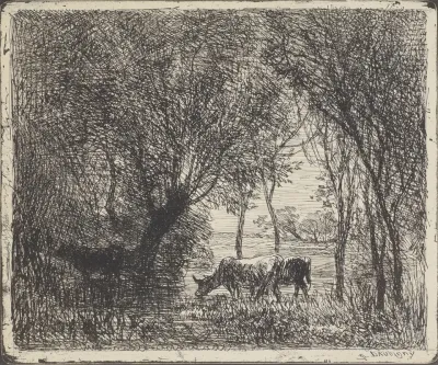 Cows In Woods