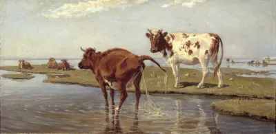 Cows On Saltholm
