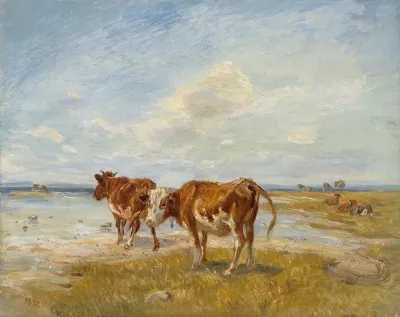 Cows On The Beach Sketch