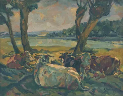 Cows Resting
