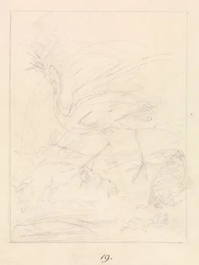 Crane And Frogs