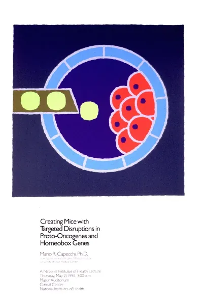 Creating Mice With Targeted Disruptions In Proto Oncogenes And Homeobox Genes