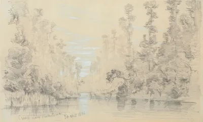 Creek Near Hokitika 2