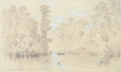 Creek Near Hokitika