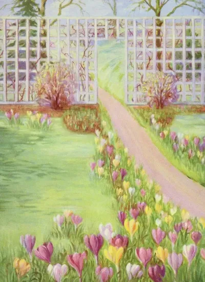 Crocus