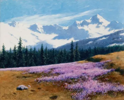 Crocuses With Snowy Mountains Behind