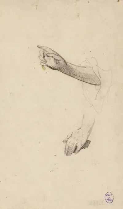 Croquis De Main Droite Et De Main Gauche