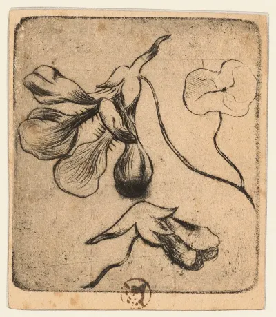 Croquis Diris