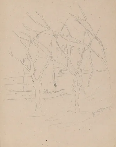 Crossing Tree Limbs Against The Background Of Rural Buildings