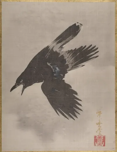 Crow Flying In The Snow