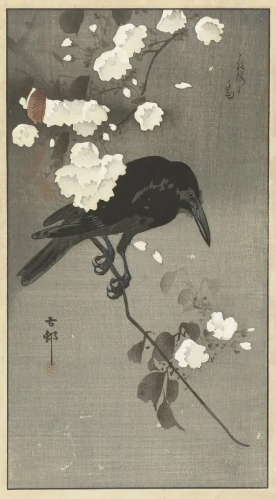 Crow With Cherry Blossom