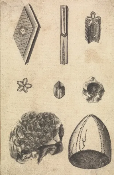Crystals And Fossils