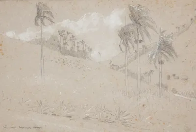 Cuban Hillside