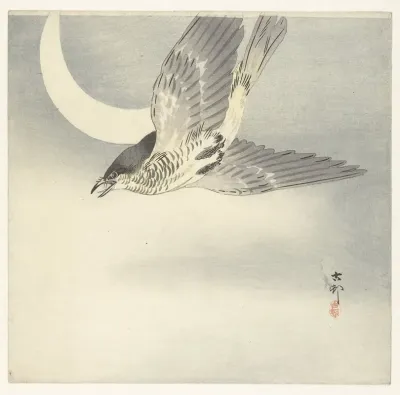 Cuckoo At Crescent Moon