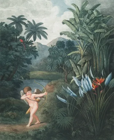Cupid Inspiring Plants With Love
